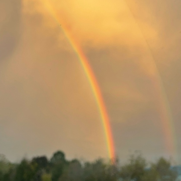 Meet your Posher, Josephine - Picture 1 of 1